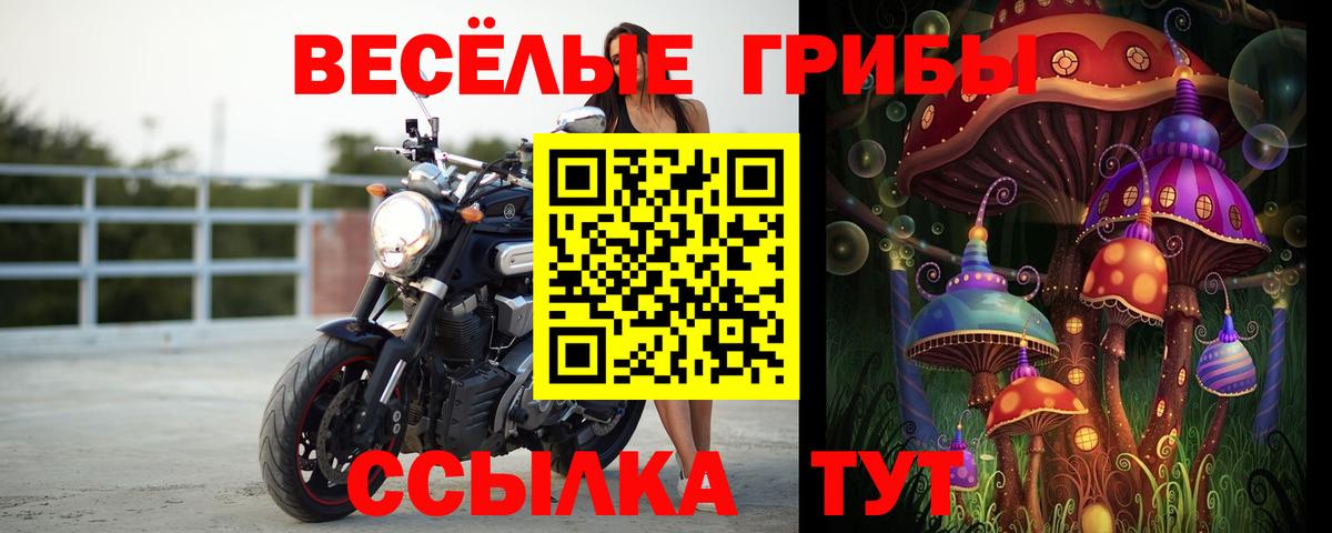Галлюциногенные грибы прущие грибы Ейск